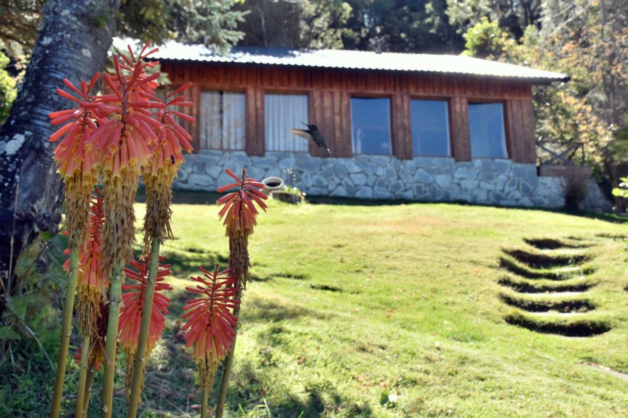 Cabanas Villa Panil サンカルロスデバリローチェ エクステリア 写真